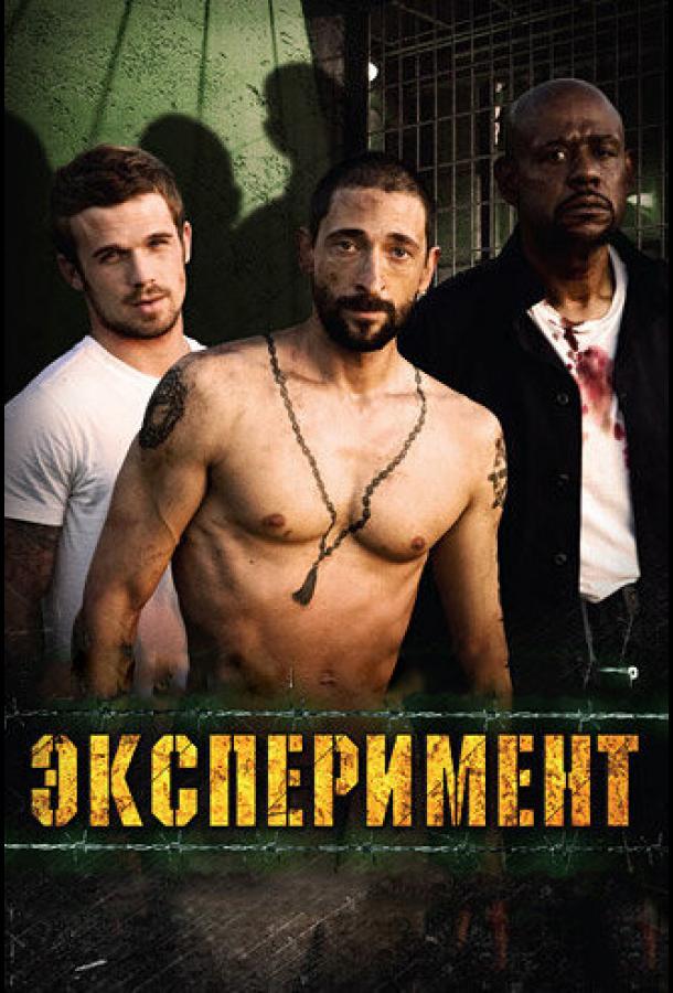 Смотреть Эксперимент